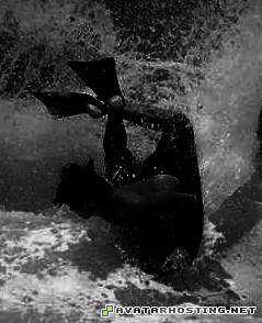 forum avatar xbox avatar new avatar Reverse spin